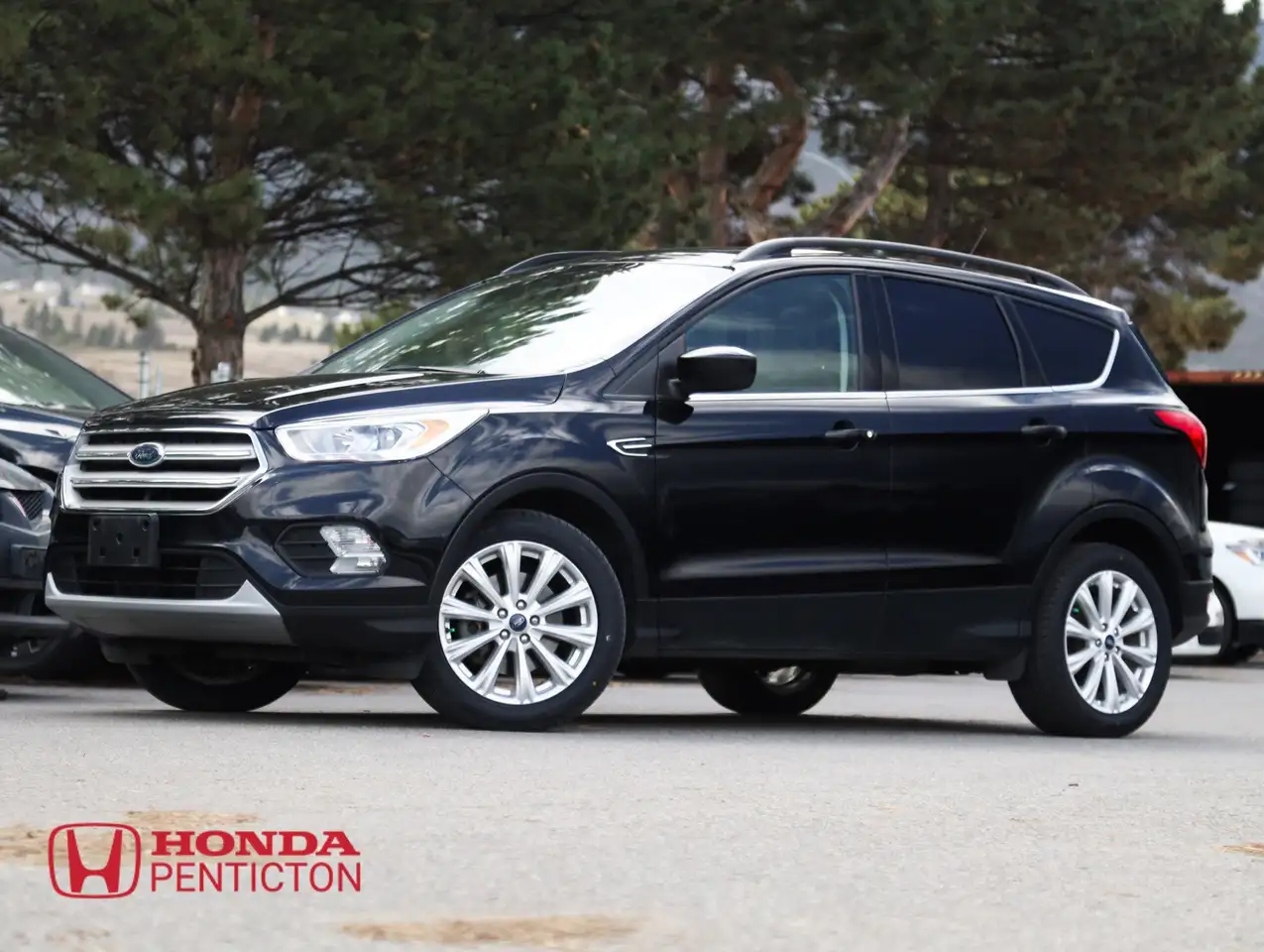 2019 Ford Escape SEL — photo 1