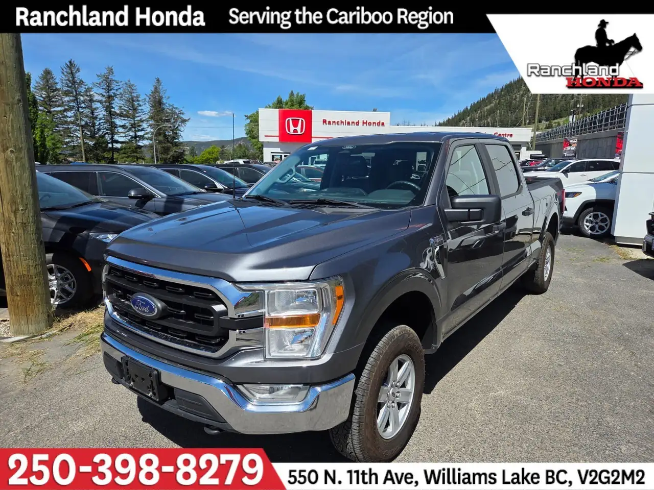 2022 Ford F 150