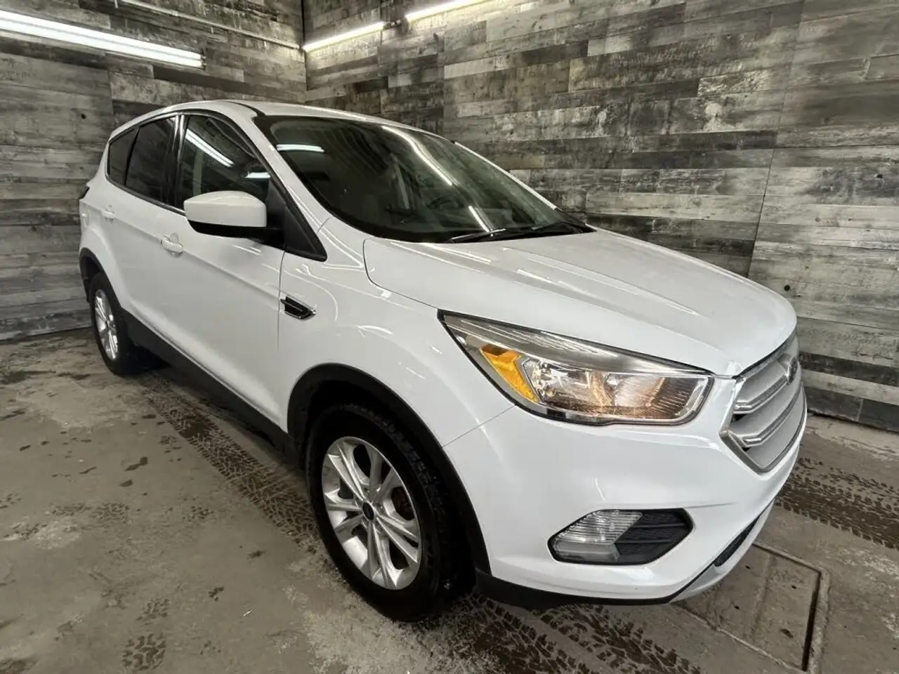 2019 Ford Escape SE — photo 1