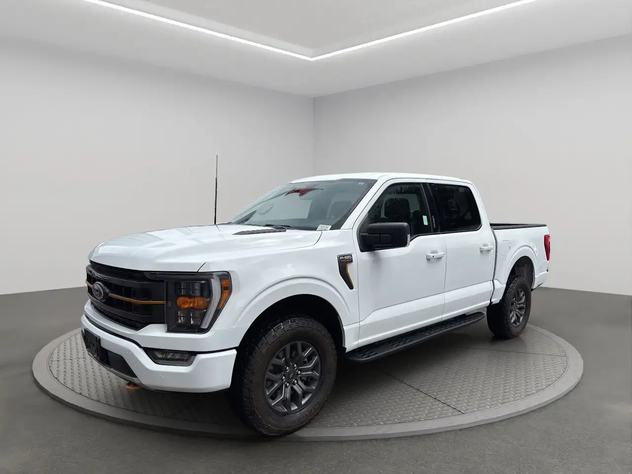 2022 Ford F 150 Tremor — photo 1