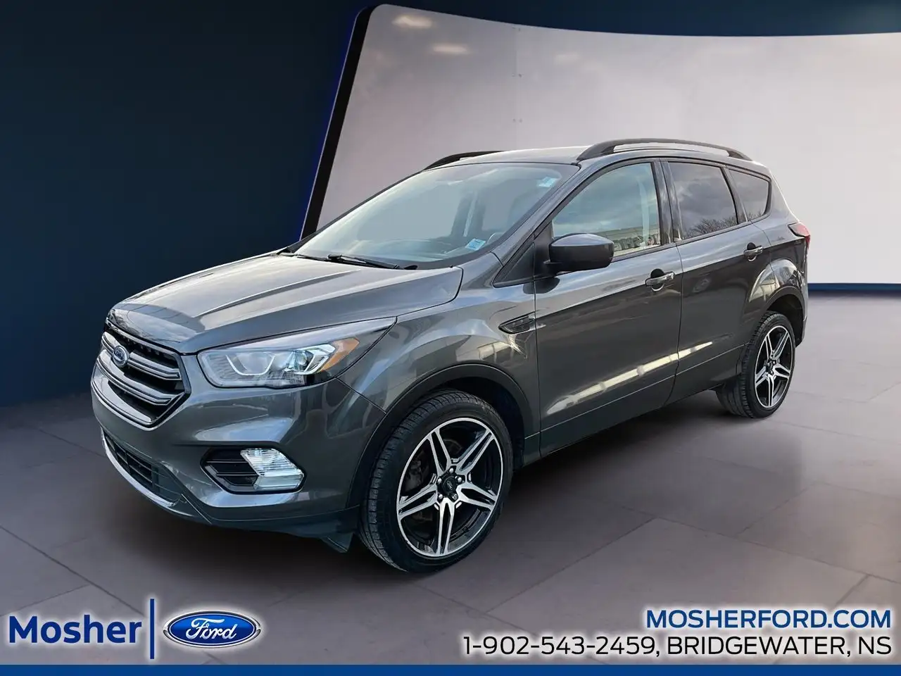 2019 Ford Escape SEL — photo 1