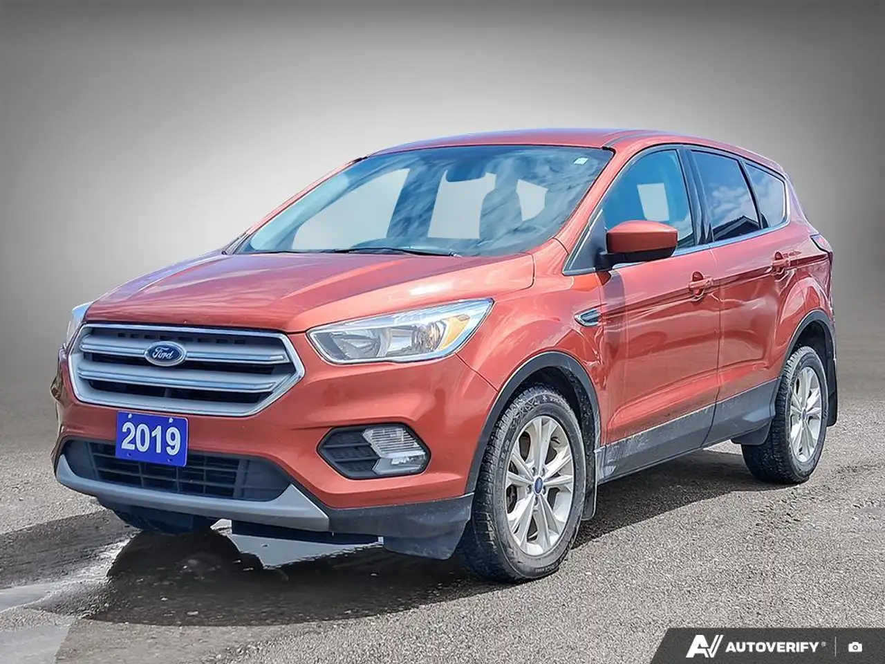 2019 Ford Escape SE — photo 1