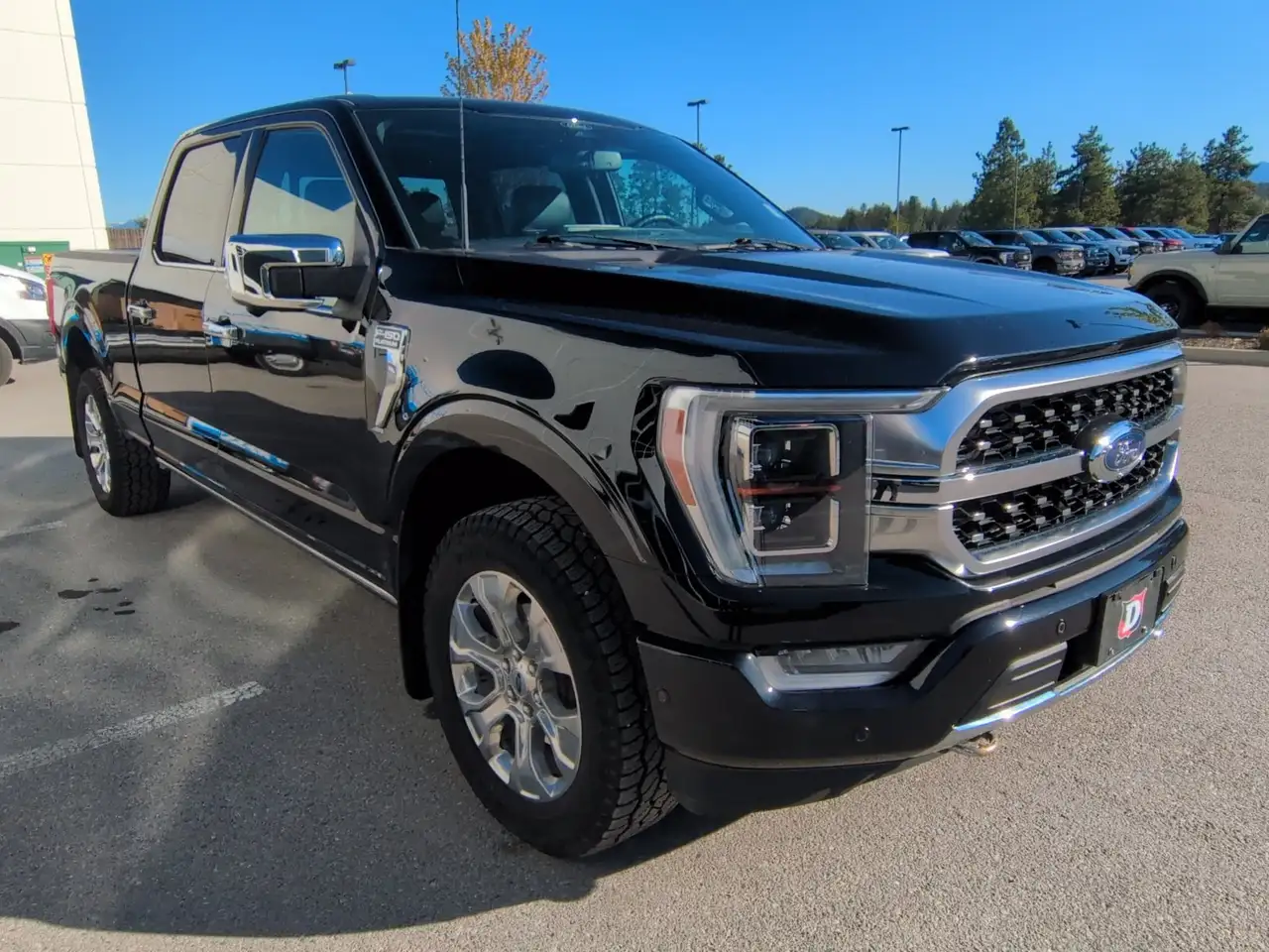 2022 Ford F 150