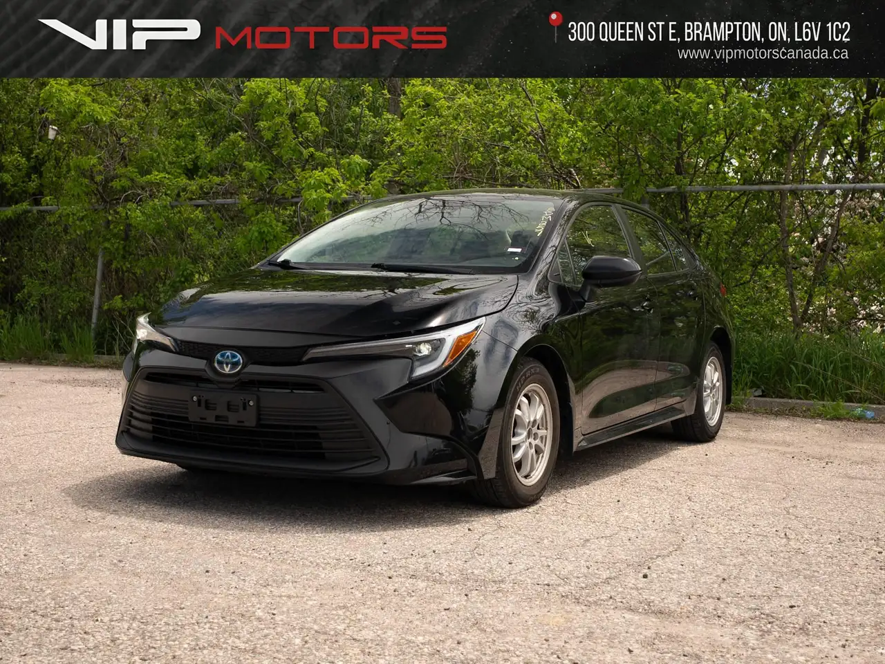 2023 Toyota Corolla Hybrid — photo 1