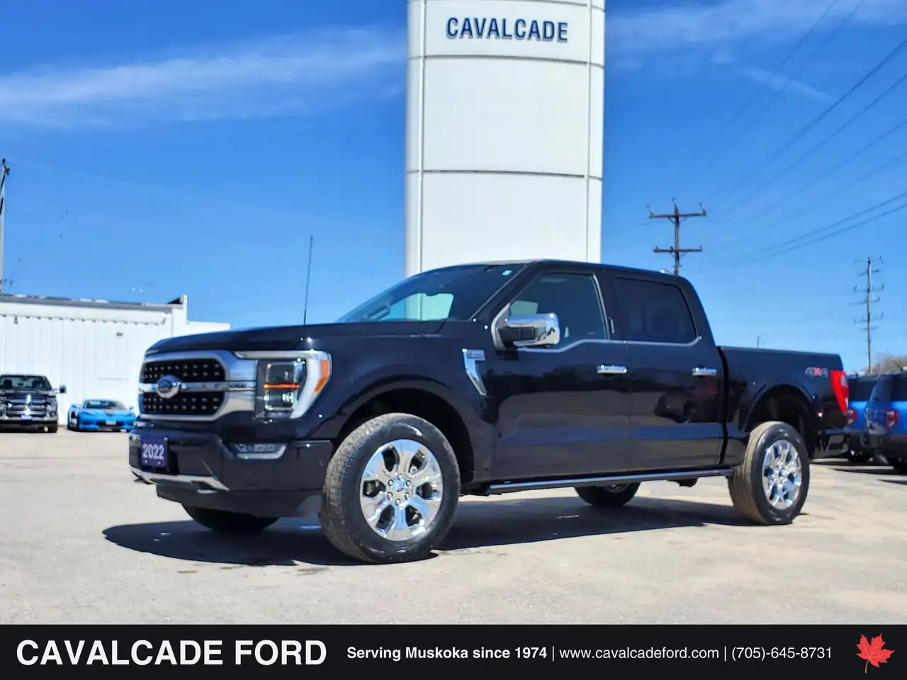 2022 Ford F 150 Platinum — photo 1