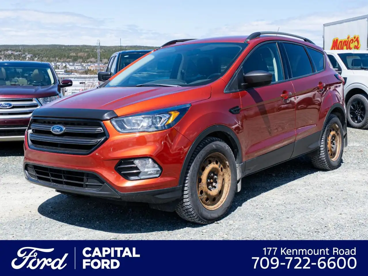 2019 Ford Escape SEL — photo 1
